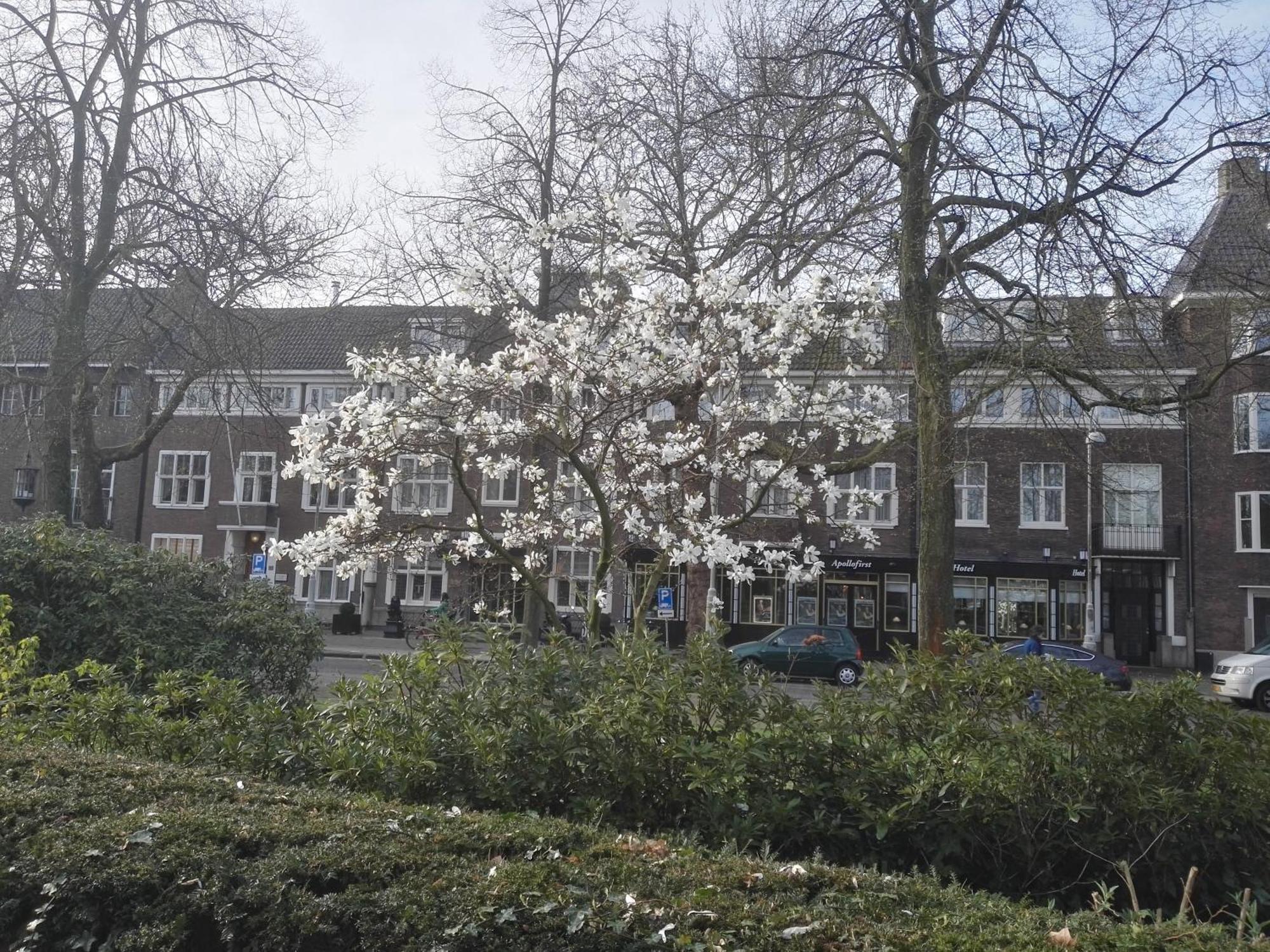 Apollofirst Boutique Hotel Amsterdam Exterior photo